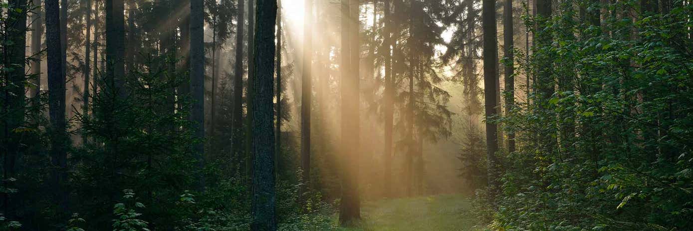 image blog plasma hero