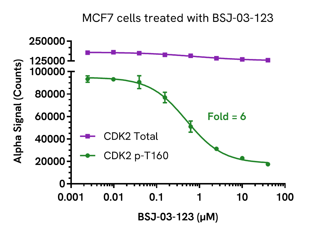 Pharmacological Validation (Inhibition) of CDK2 Phospho (Thr160) assay