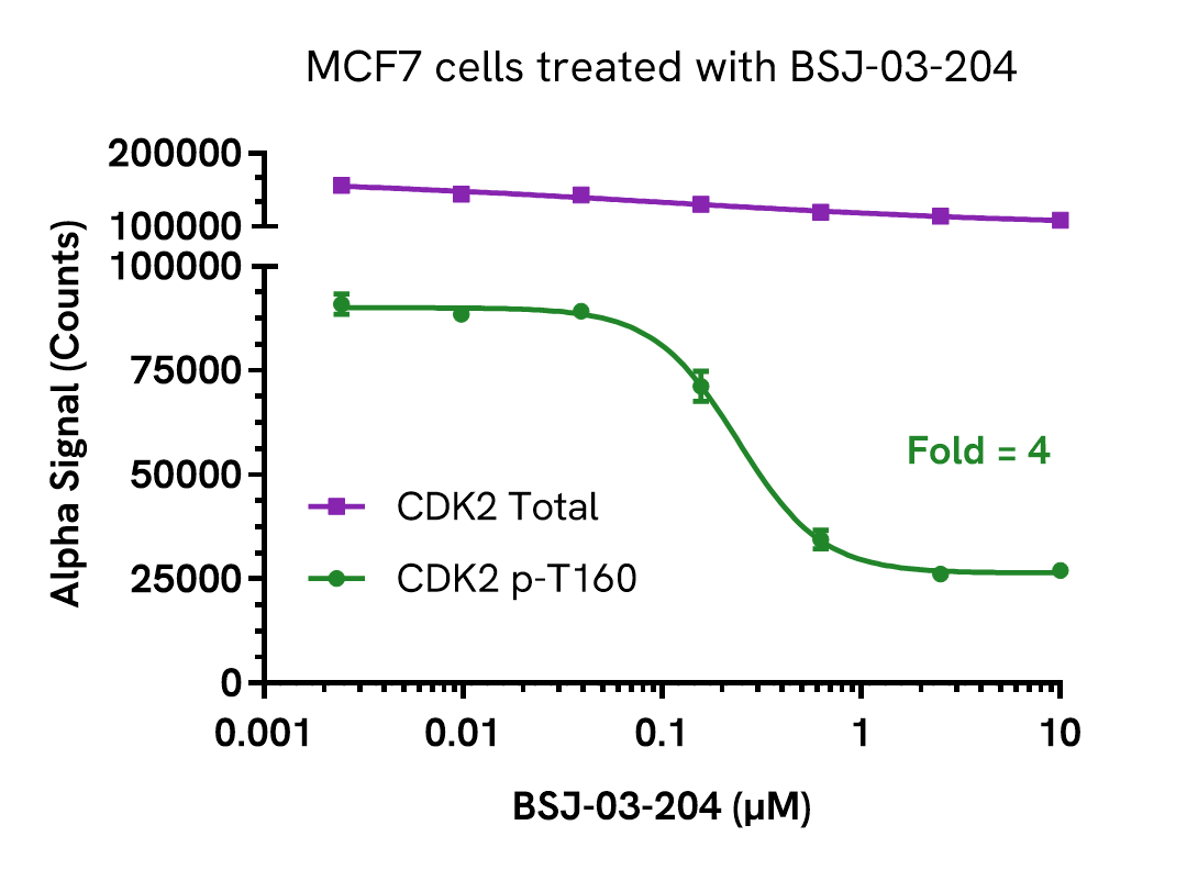Pharmacological Validation (Inhibition) of CDK2 Phospho (Thr160) assay