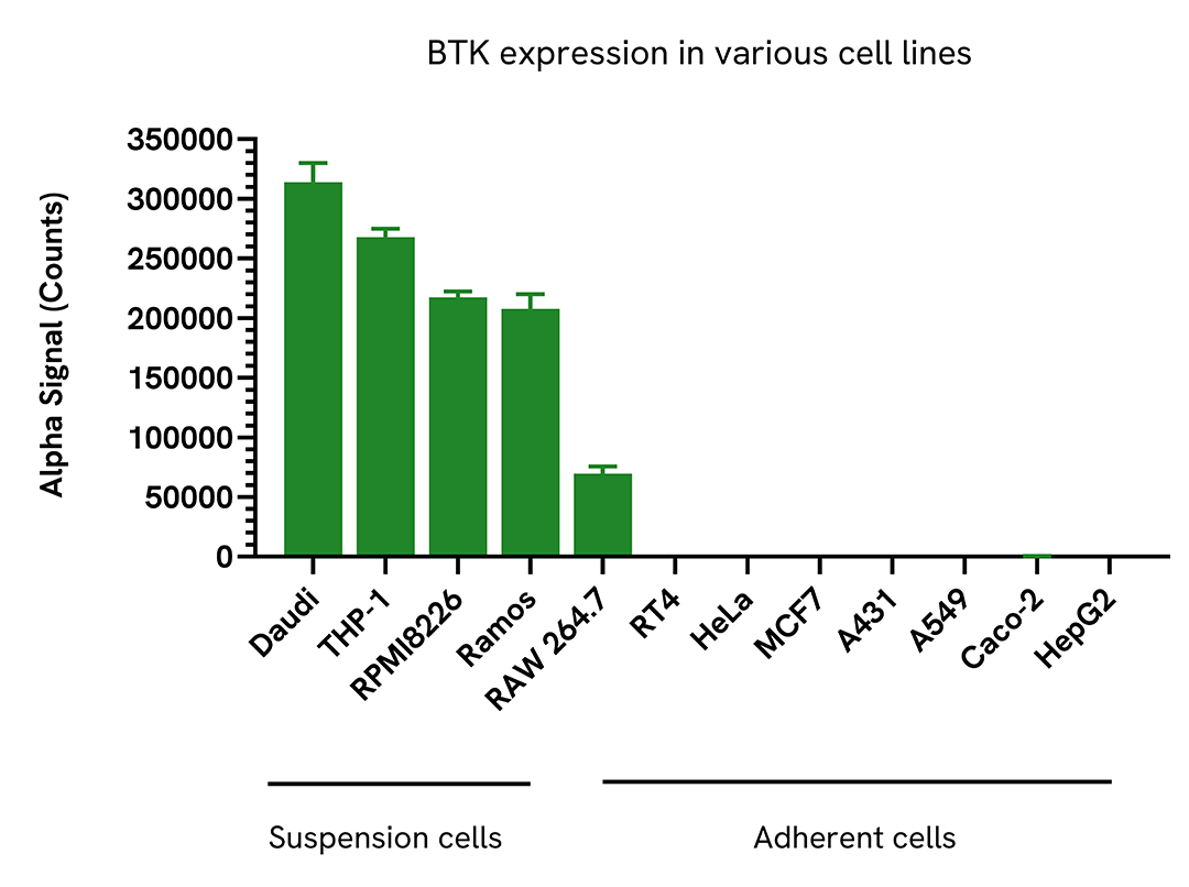 Versatility of Total BTK assay in various cell lines
