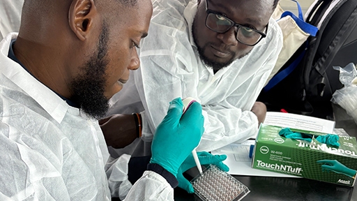 Building skills that create lasting impact