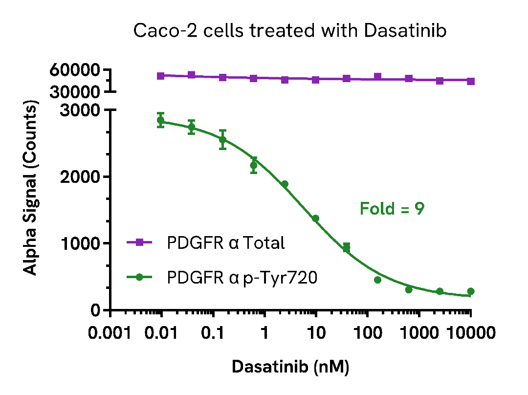 PDGF Receptor α inhibition in cells treated with Dasatinib