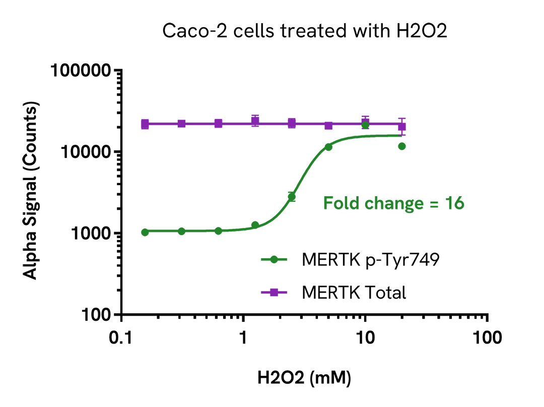 Validation of MERTK Total in H₂O₂ treated cells