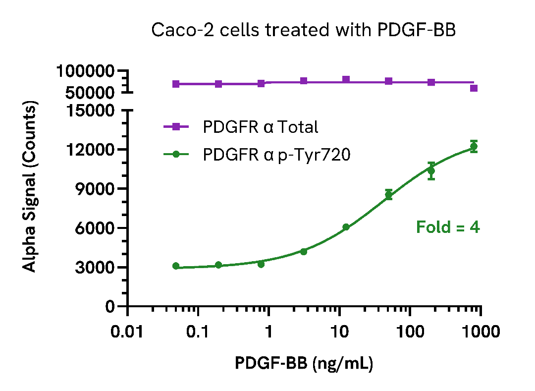 Phosphorylation of PDGF Receptor α in cells treated with PDGF-BB