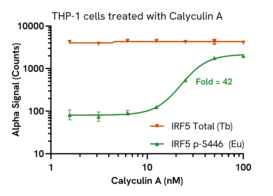 Pharmacological validation (activation) of Phospho IRF5 + Total assay