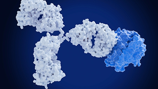 Candidate screening and profiling