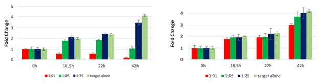 CAR T cell-mediated cytotoxicity-2