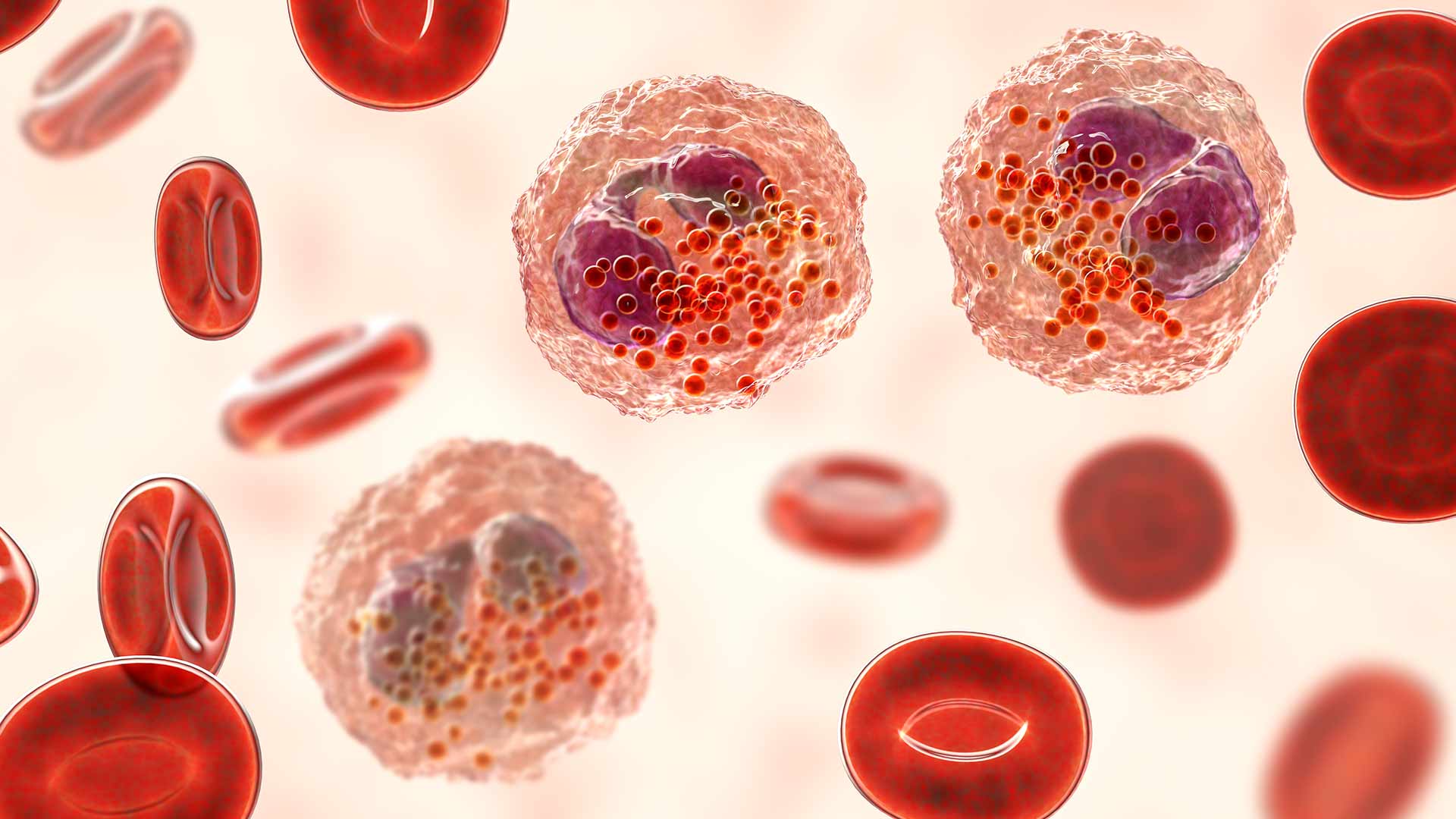 cd34+ thumbnail 