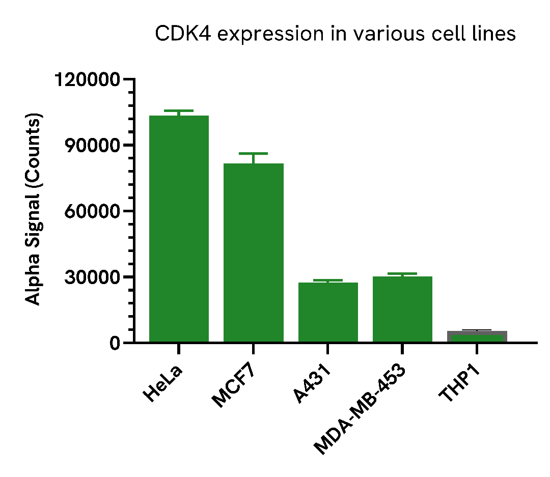 Versatility of Total CDK4 assay in various cell lines