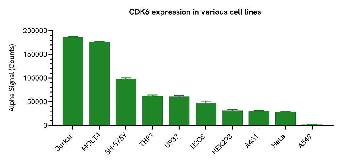 CDK6 expression in various cell lines