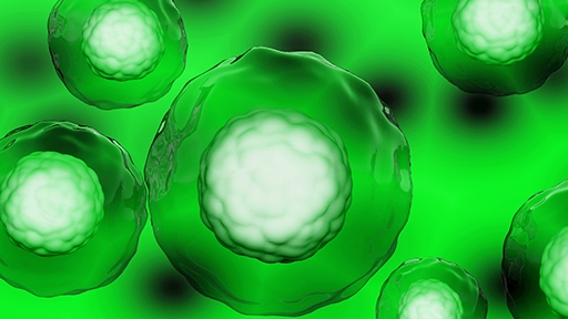car-T cell mediated thumbnail