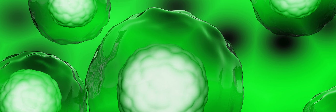celigo transfection gated