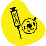 Cell and gene therapy