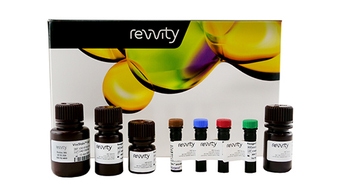 img-cell-counting-image-cytometry-reagents-512x288.jpg