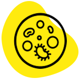 img-cell-imaging-icon