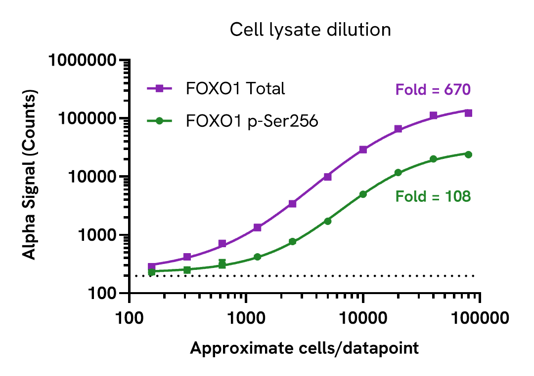 Assay sensitivity of Phospho (Ser256) FOXO1