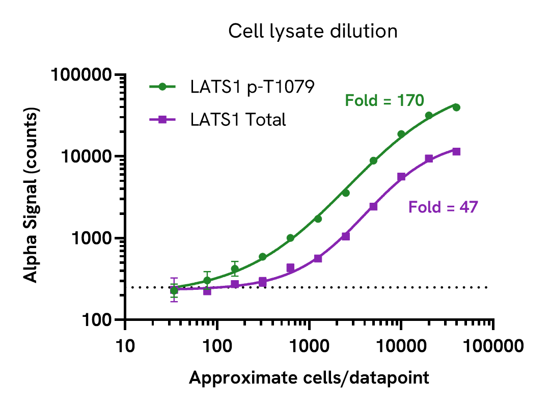 LATS1 pT1079 assay sensitivity