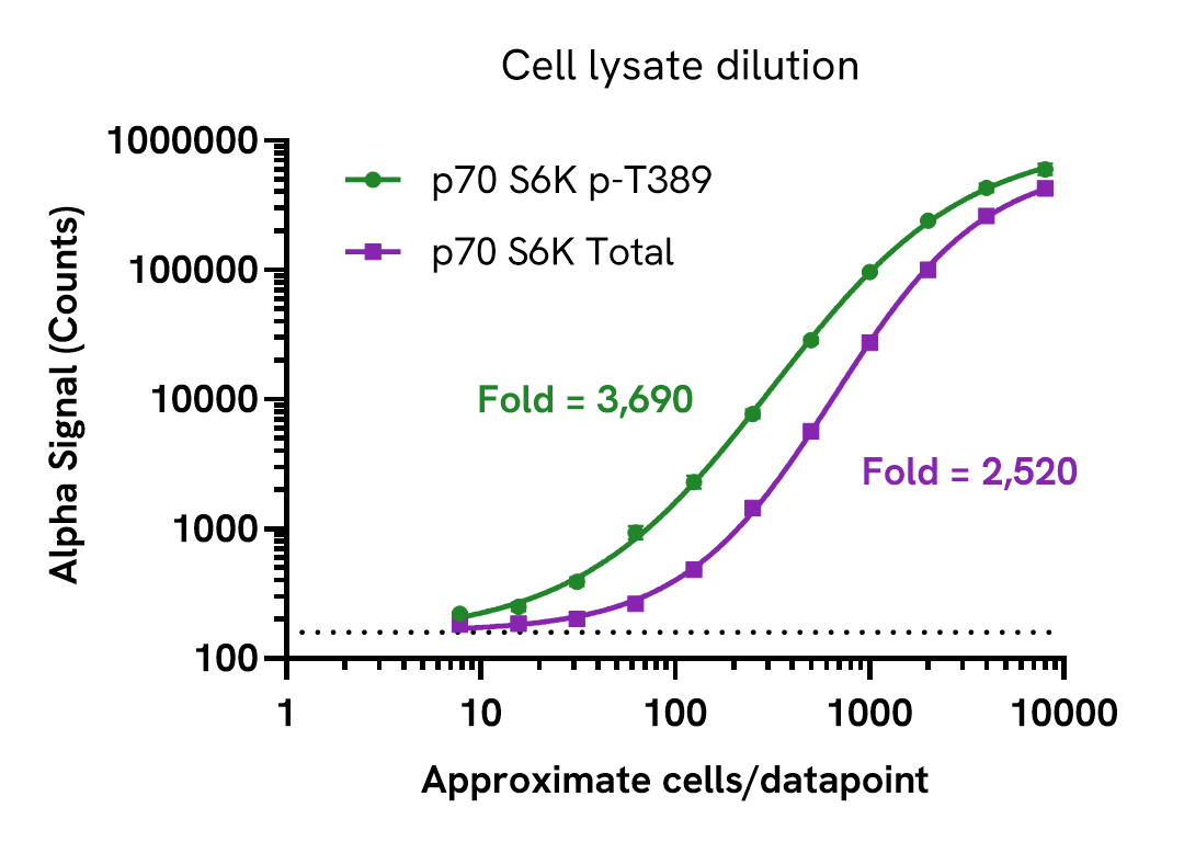 Assay Sensitivity - Cell lysate dilution