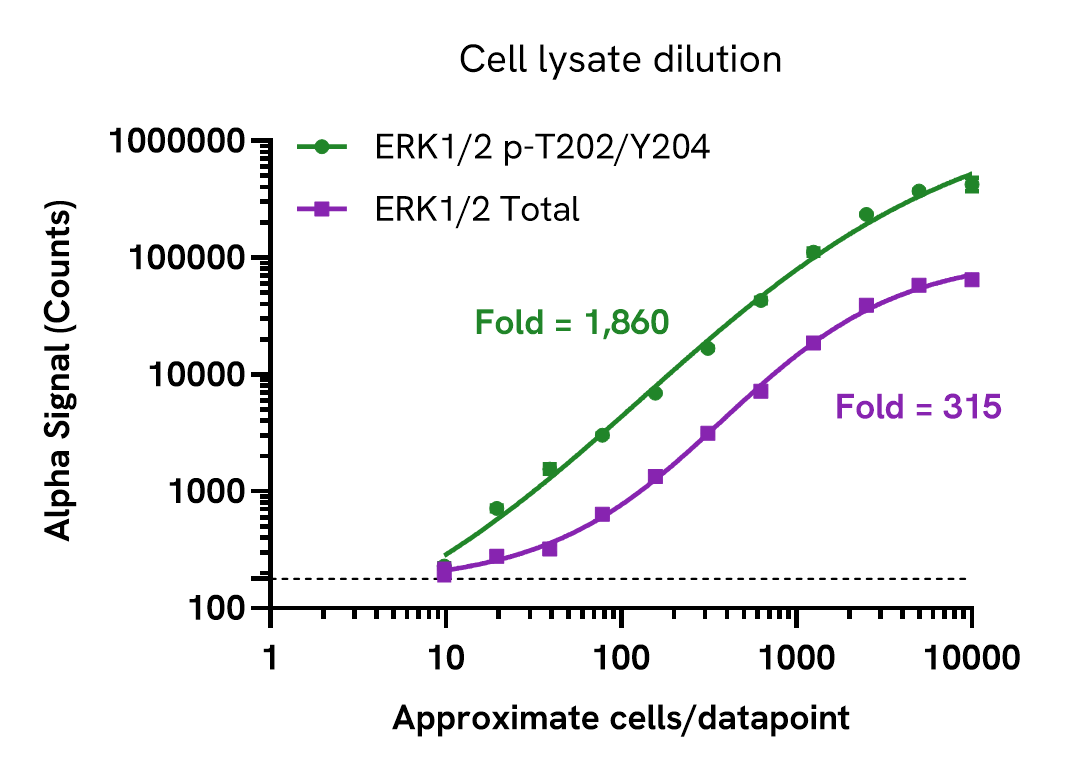 ERK1/2 assay sensitivity - cell lysate dilution