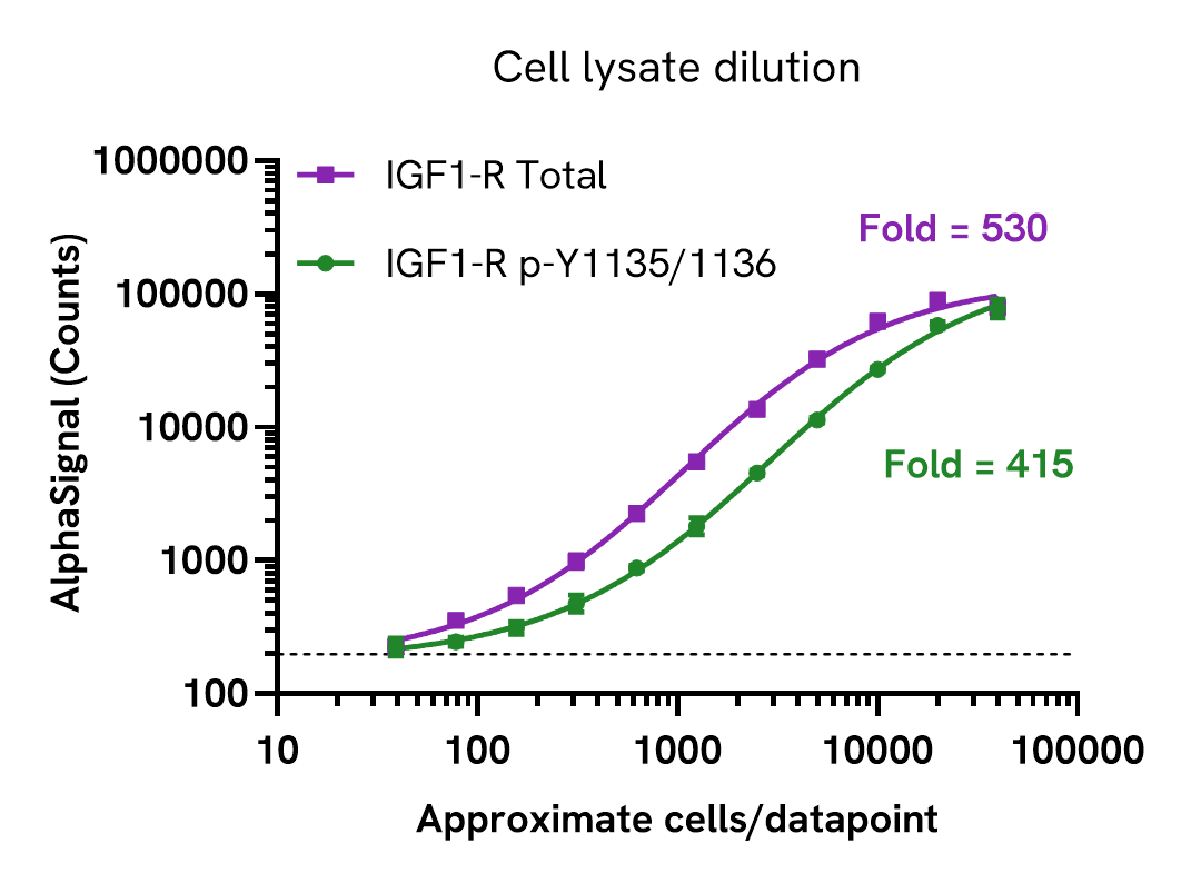 IGF-1 Receptor b assay sensitivity - Cell lysate dilution