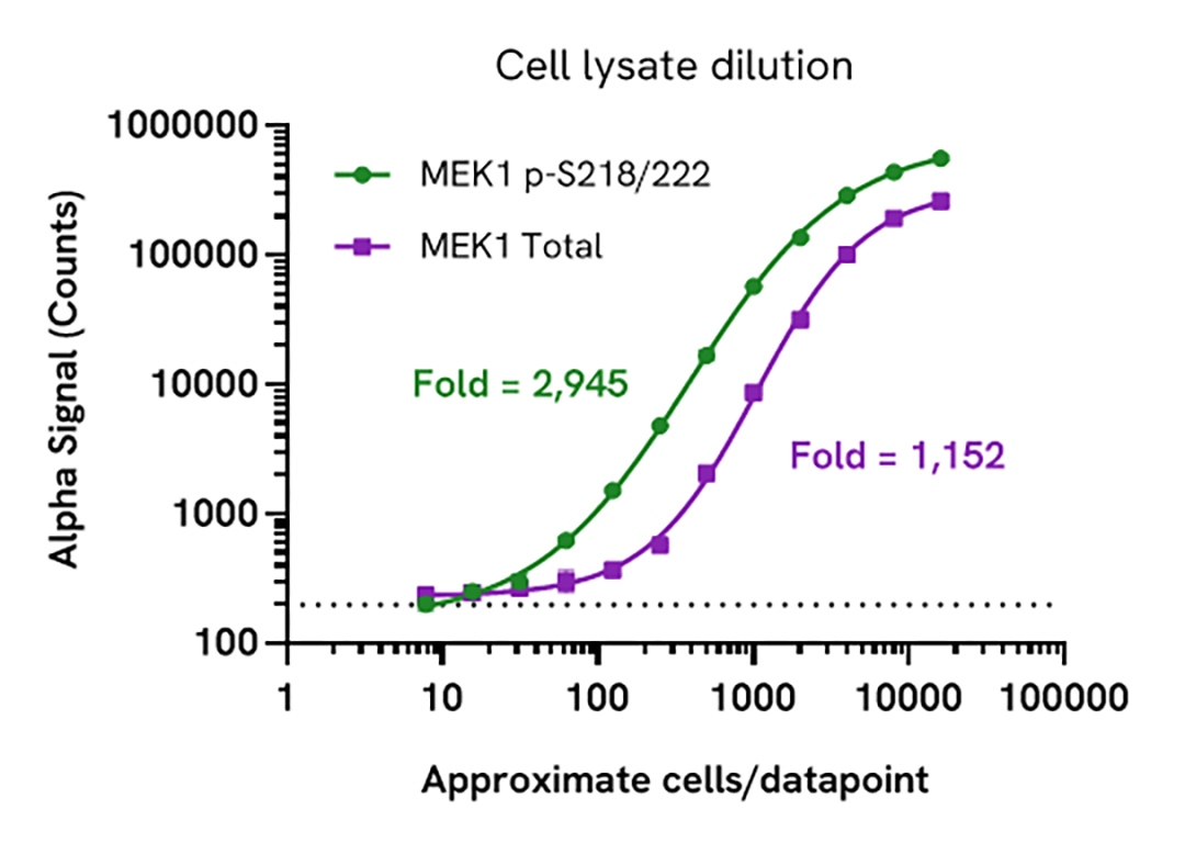 Assay Sensitivity - Cell lysate