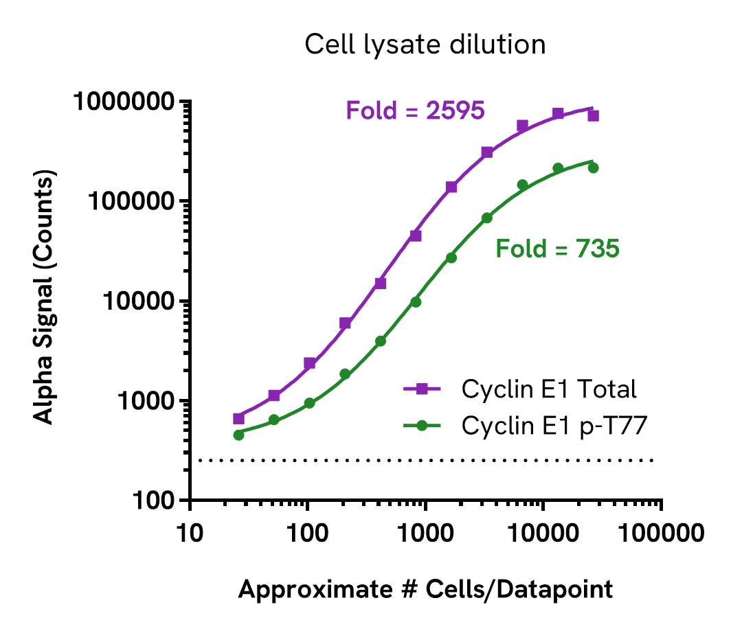 Total Cyclin E1 assay sensitivity