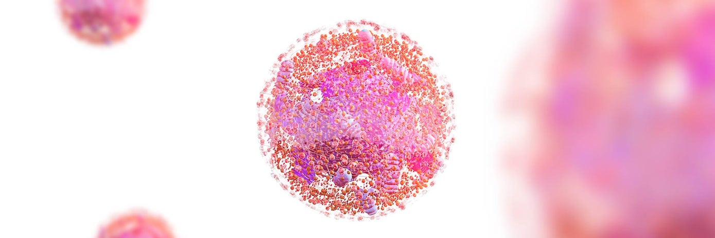 Cell Lysis: The Secret to Protein Access