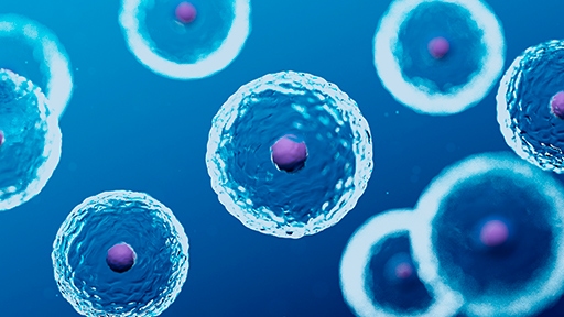 Cell model engineering