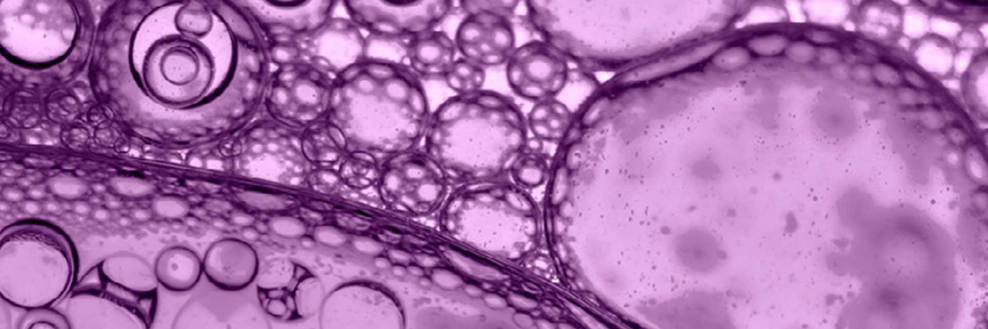 cell preparation a key step for successful camp assays hero