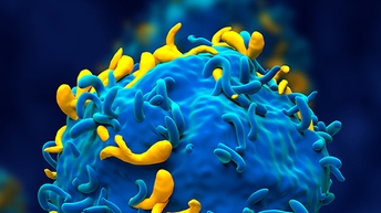 cell therapy applications