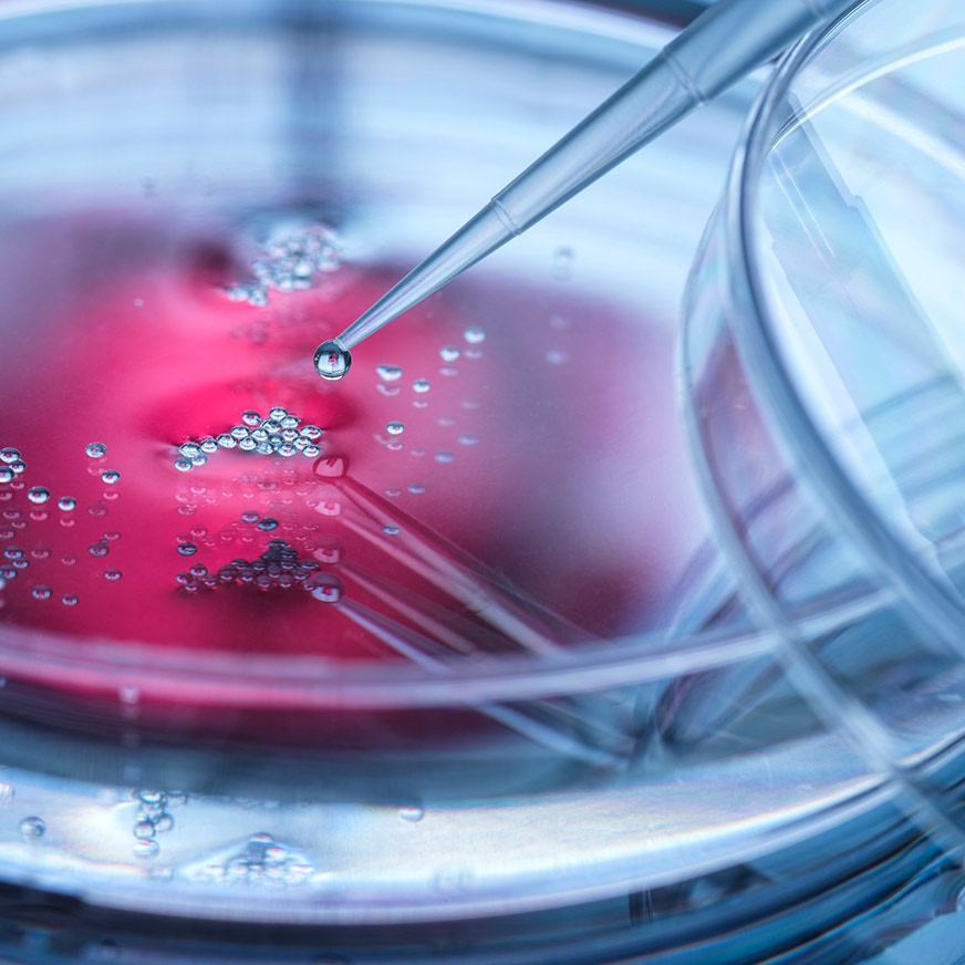 Cell therapy research with focus on scalable manufacturing and cell culture