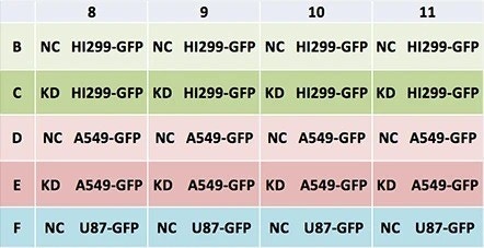 cell type and conditions