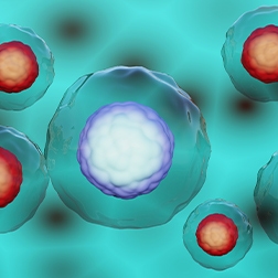 Cell viability services 