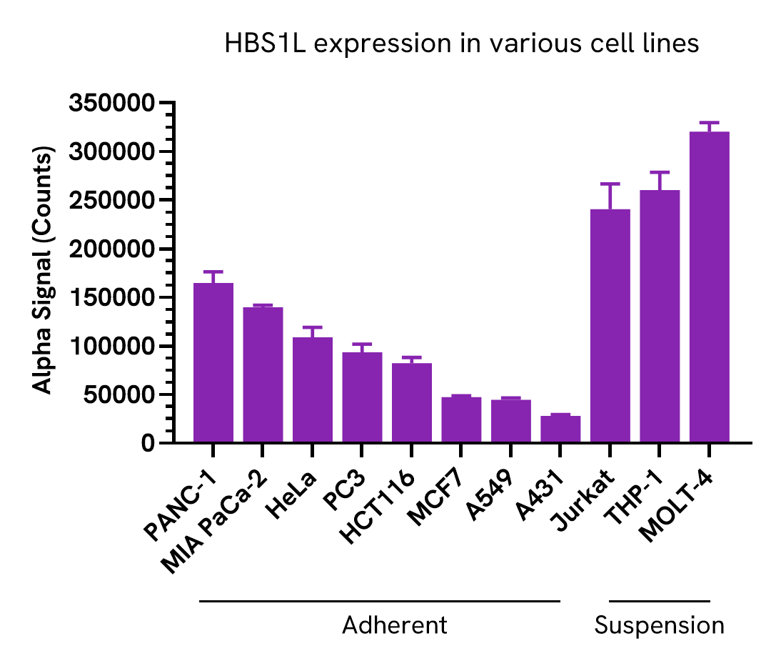 HBS1L expression in various cell lines