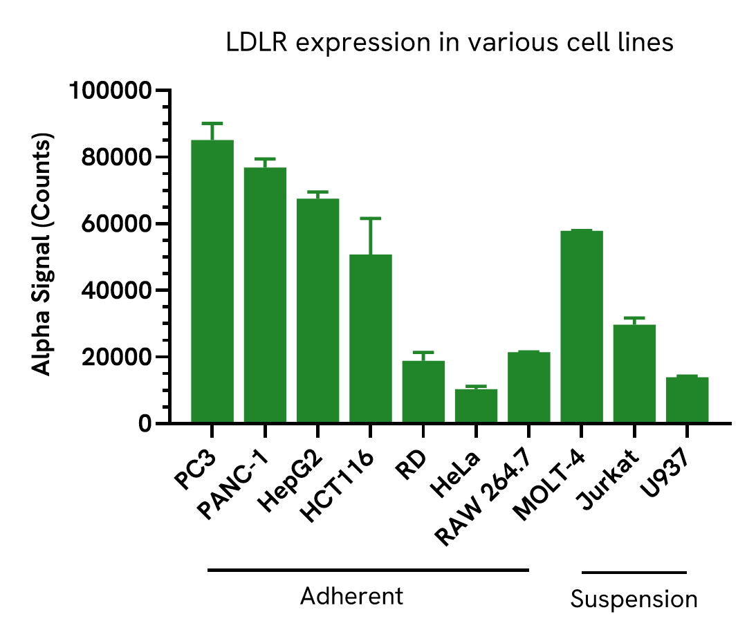 LDLR expression in various cell lines