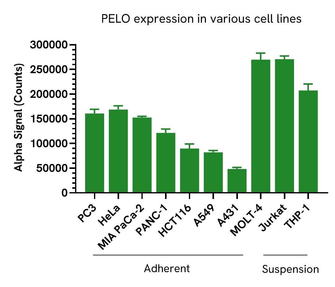 PELO expression in various cell lines