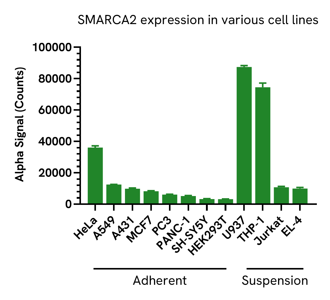 Versatility of SMARCA2 Total assay in various cell lines