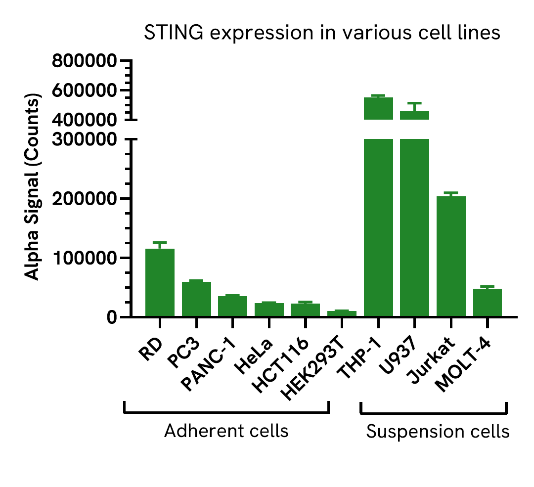 STING expression in various cell lines