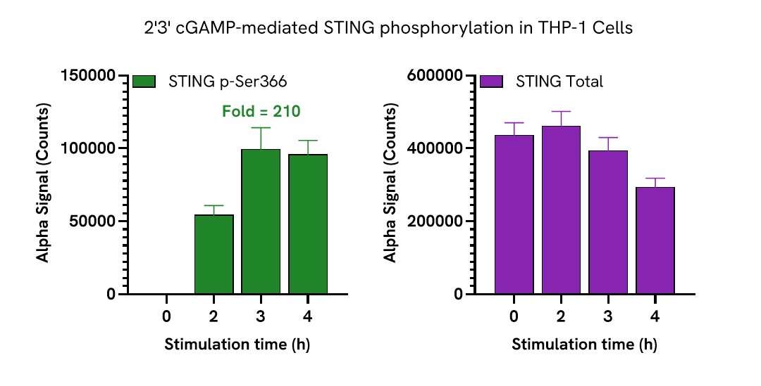 Pharmacological Validation (activator) of STING pSer366