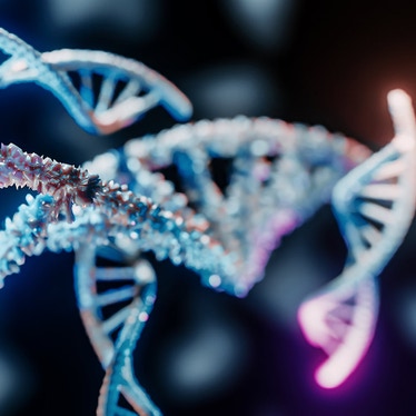 CHOSOURCE TnT Transposon technology