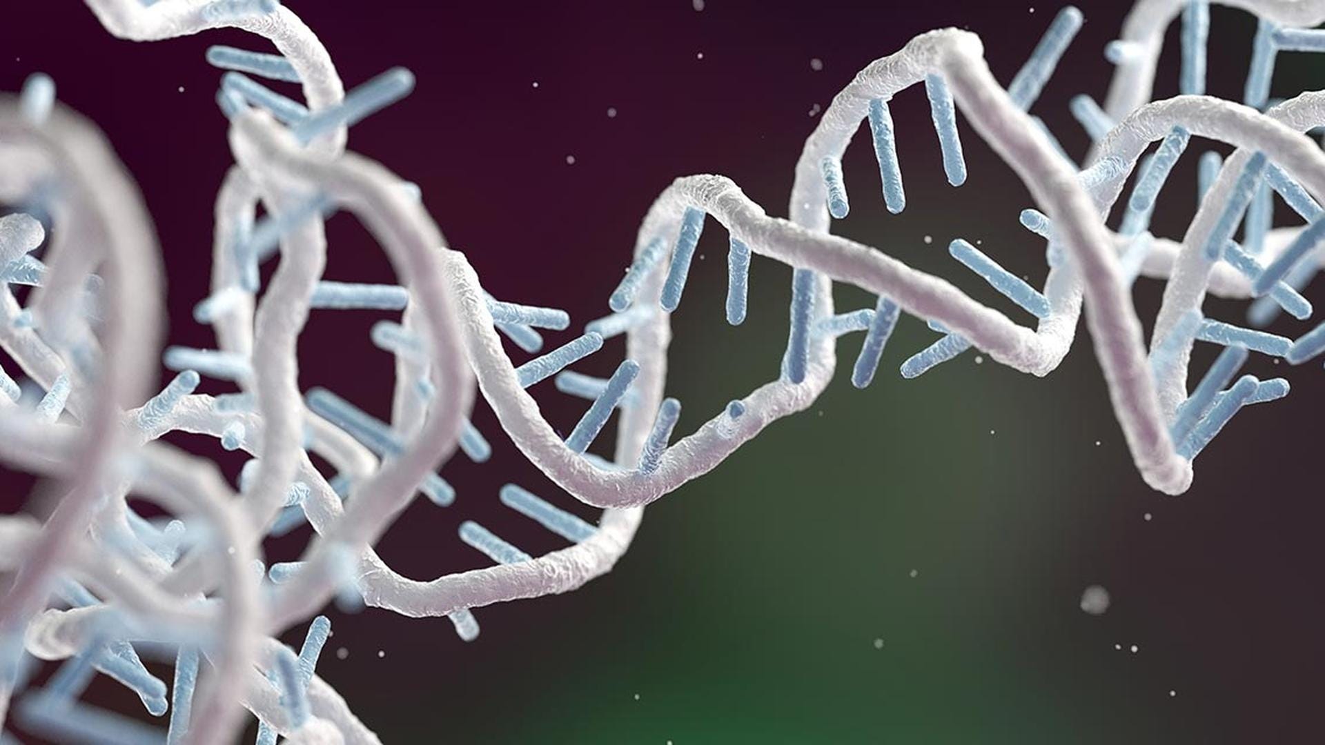 img-circrna-blog1920x1080