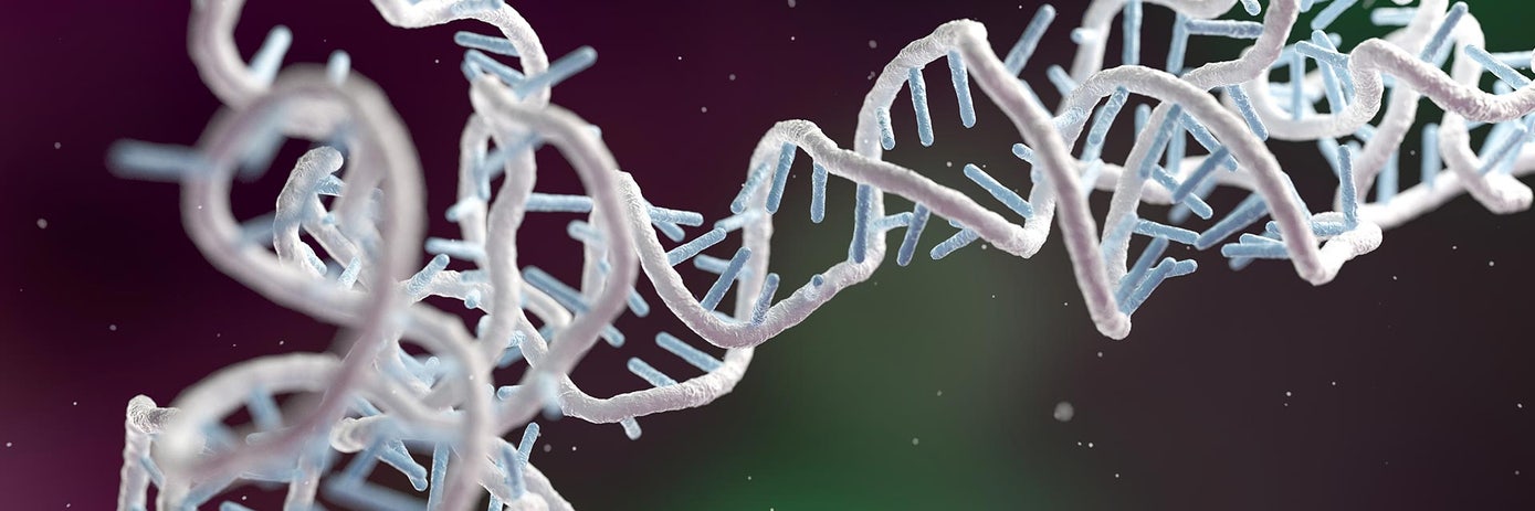 img-circrna-blog1920x640