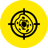 clone icon 160x160