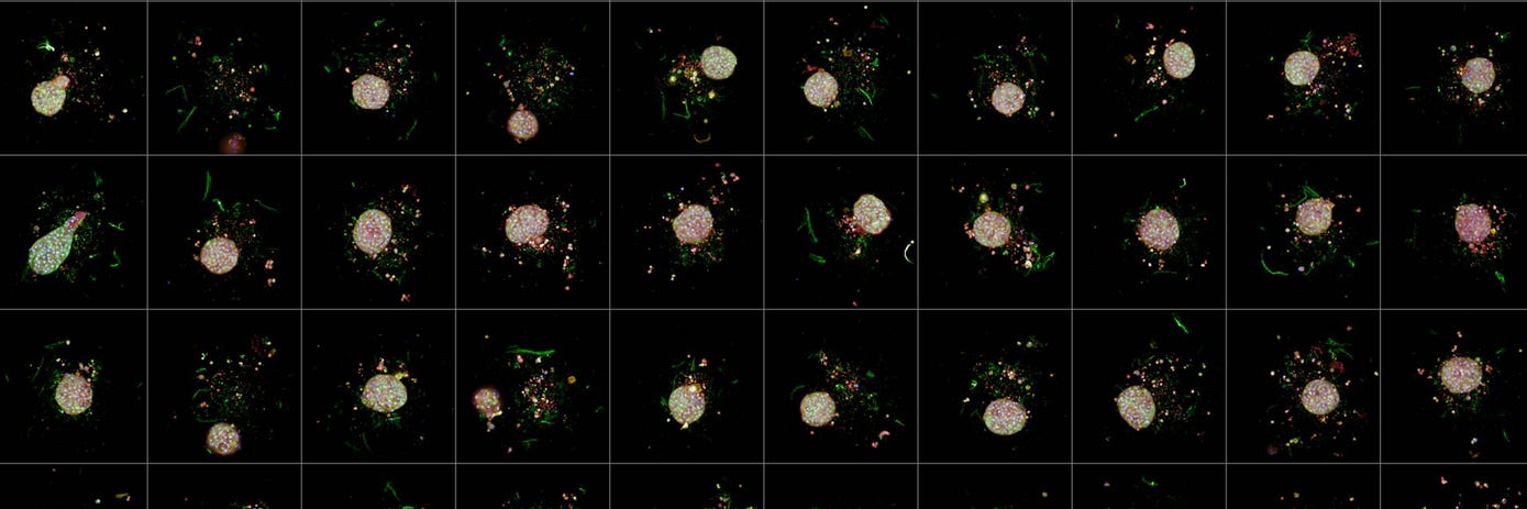 gated page cost effective hero