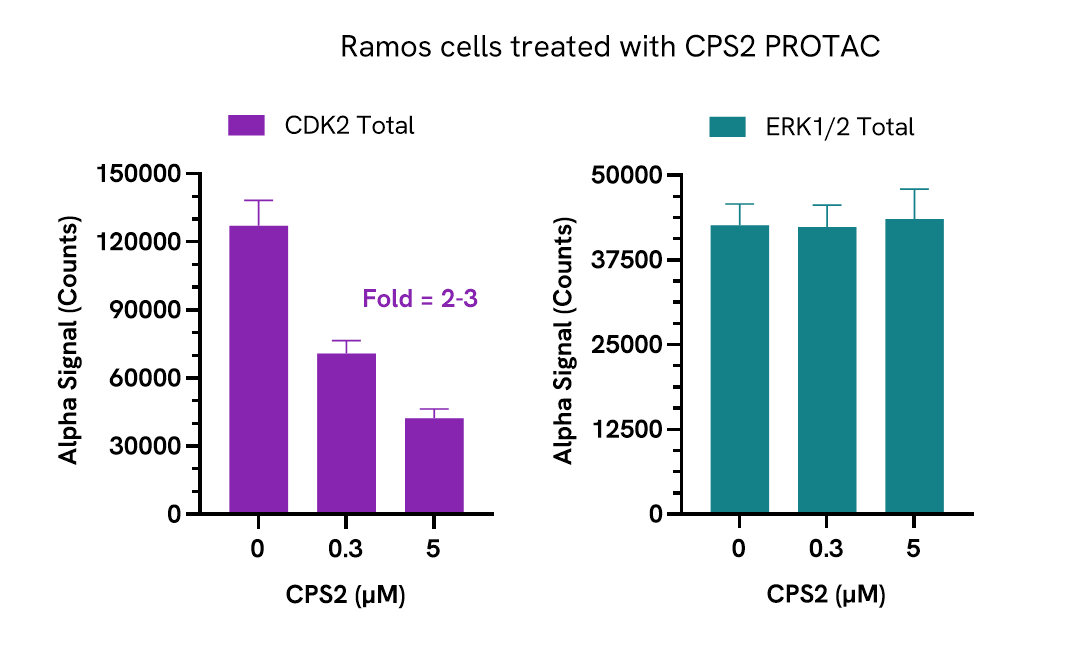 Pharmacological Validation (Activation) of CDK2 Total assay