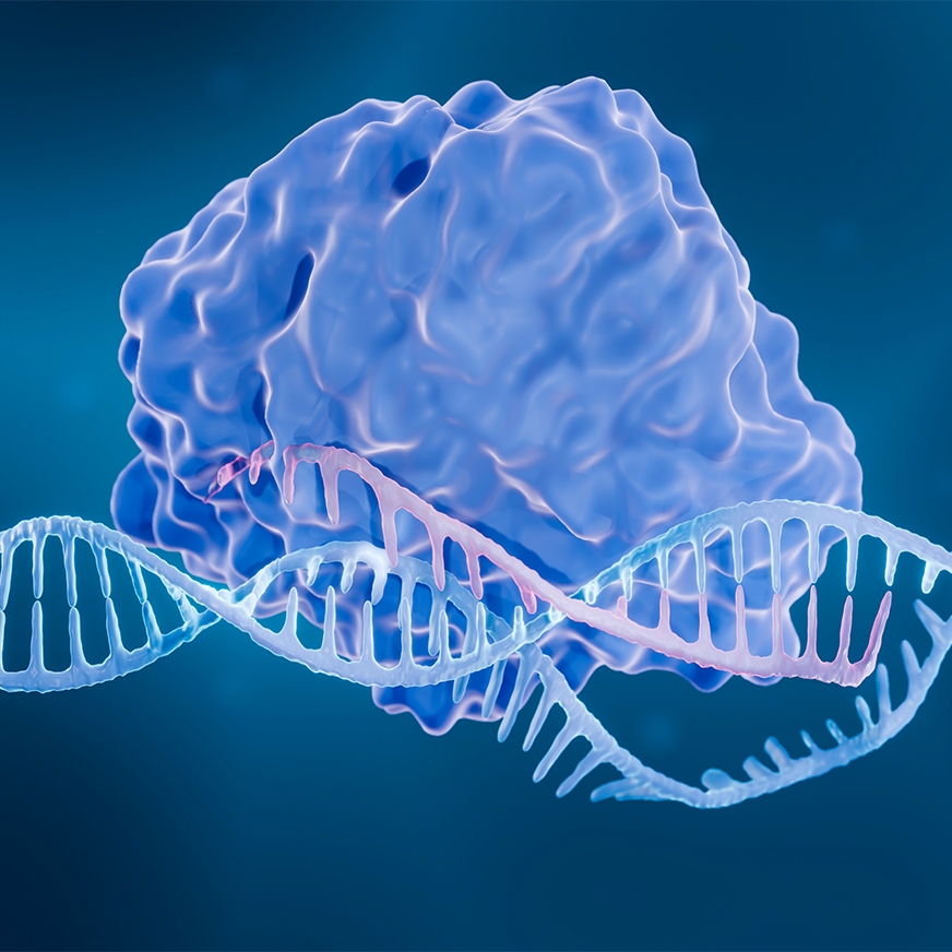 CRISPR-based RNA depletion hero