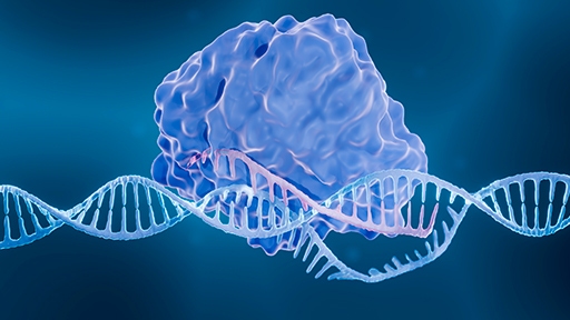 crispr based thumbnail