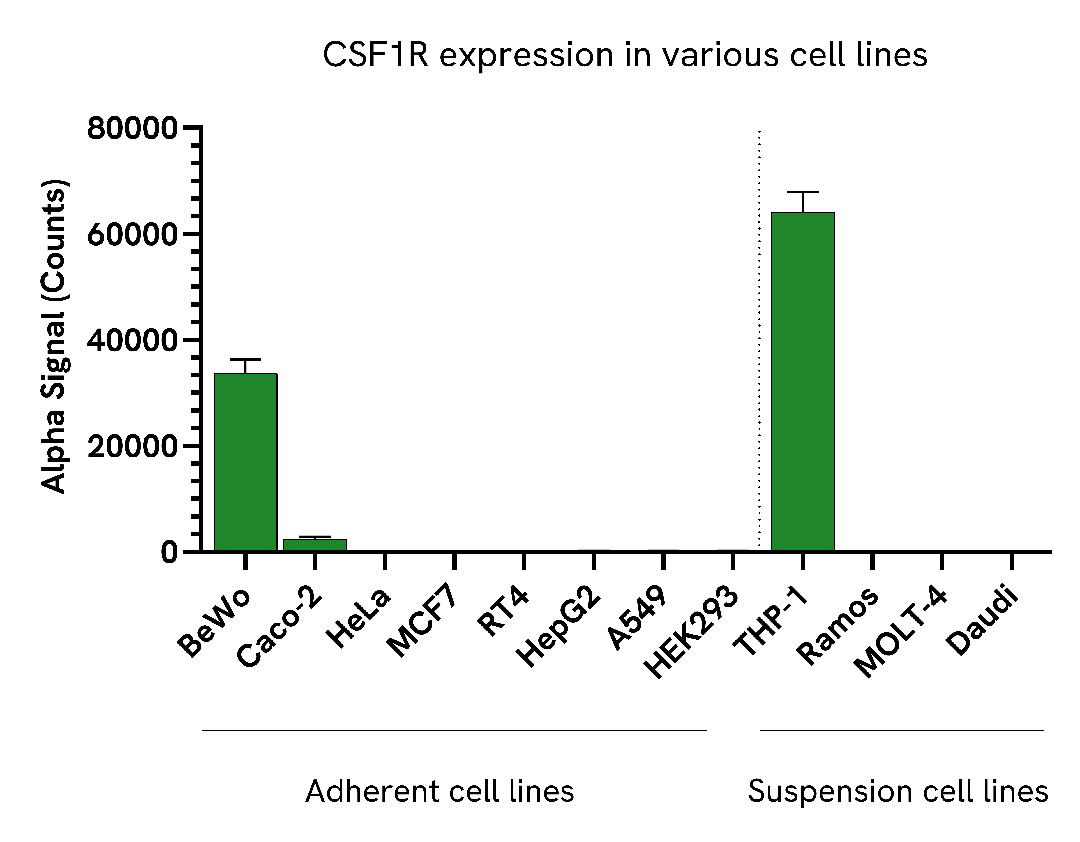 Differential expression of CSF1R in various cell lines