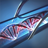 ctDNA reference standards