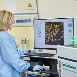 Custom complex models project capabilities